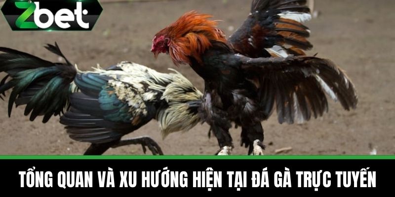 Đá Gà Trực Tuyến - Tận Hưởng Những Trận Đấu Hấp Dẫn Tại ZBET 2 Tổng quan và xu hướng hiện tại Đá gà trực tuyến